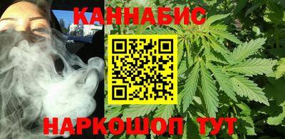 индика Гатчина