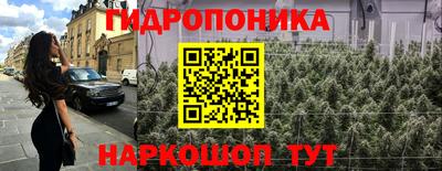 индика Гатчина