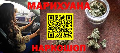 индика Гатчина