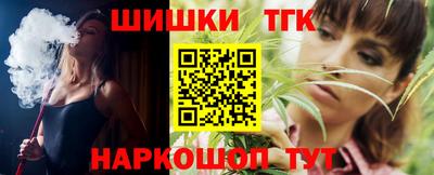 индика Гатчина
