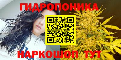индика Гатчина