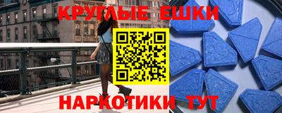 индика Гатчина