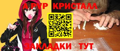 индика Гатчина