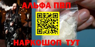 индика Гатчина