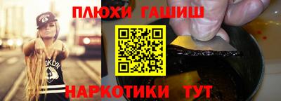 индика Гатчина