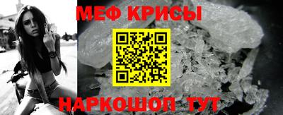 индика Гатчина