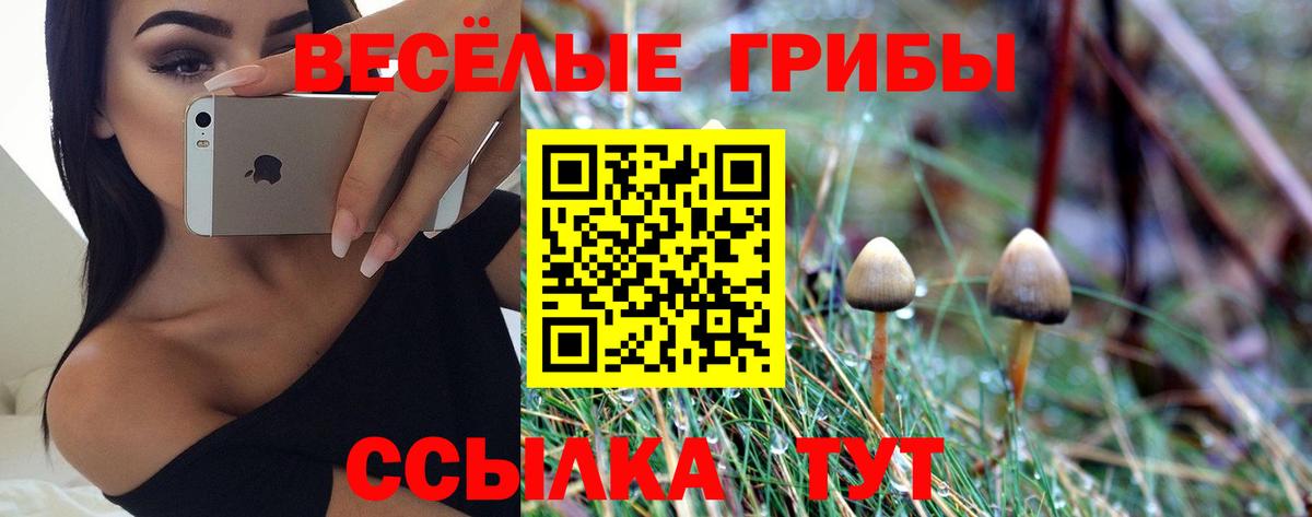 Вязьма  Галлюциногенные грибы Magic Shrooms  Псилоцибиновые грибы мухоморы  Вход с VPN 